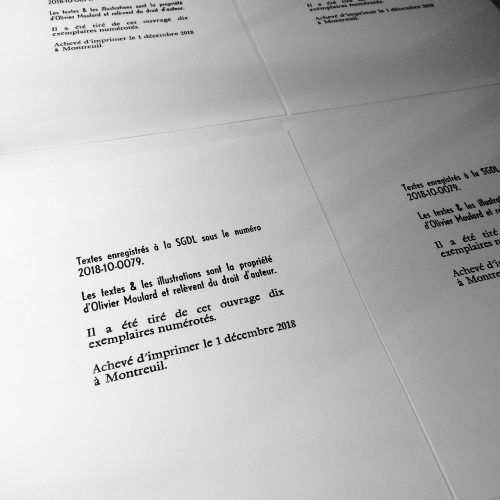2018_livre_d_artiste_2000px_11 Olivier Moulard, réalisation d'un livre d'artiste, 24 poèmes imprimés et illustrés, typographie et lithographie polyester.